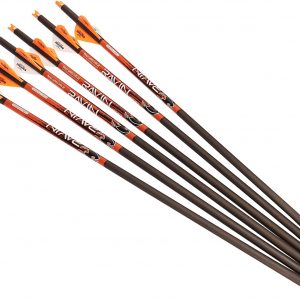 Ravin Crossbows R138 Archery Crossbow Carbon Arrows, One Size, Multi