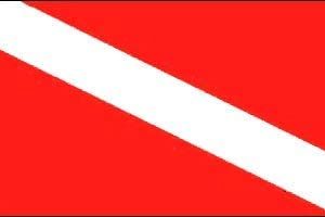 Diver Flag – 3 foot by 5 foot Polyester (NEW) by Other Flags