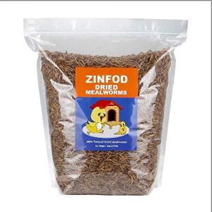ZINFOD 100% Non-GMO Dried Mealworms – High-Protein Mealworm Treats – Perfect for Your Chickens, Ducks, Wild Birds, Turtles, Hamsters, Fish, and Hedgehogs