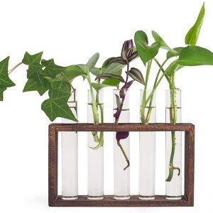 Mealivos Plant Terrarium with Wooden Stand, Wall Hanging Glass Planter Propagation Station with 5 Test Tube,Flower Bud Vase Tabletop Glass Terrarium Wooden Stand