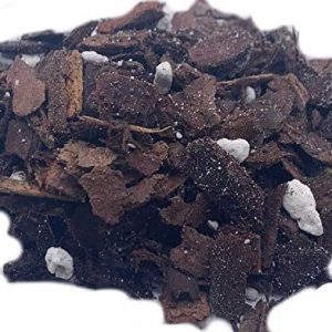All Purpose 2qt Orchid Mix! Orchid Bark and Perlite, Good Drainage and Water Retention!