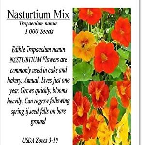 Big Pack – Nasturtium Flower Seed Mix (1,000) – Edible Tropaeolum nanum – Spurred, Flat-Faced Trumpet – Used In Cake & Bakery – Flower Seeds By MySeeds.Co (Big Pack – Nasturtium Mix)