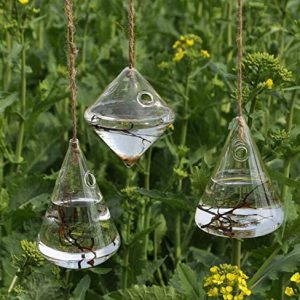 Indoor Outdoor Glass Hanging Planters Plant Pots Water Plant Containers Flower Pots Glass Terrariums 3 Pieces