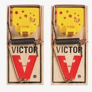 Victor EZ Set Mouse Trap (Pack of 24)
