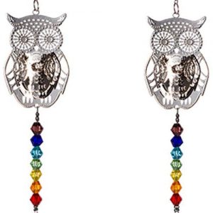 Crystal Suncatcher Chakra Colors Beads Owl Window Hanging Ornament Rainbow Suncatcher,Pack of 2 for Christmas Day,Wedding,Window Decor