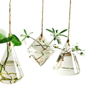 Indoor Outdoor Glass Hanging Planters Plant Pots Water Plant Containers Flower Pots Glass Terrariums 3 Pieces