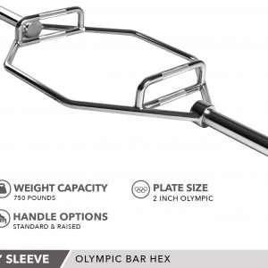 DAY1 FITNESS Olympic 2-Inch Combo Hex Bar by D1F for Weight Lifting – 750lb Capacity -Silver Hexagon Deadlift Bars with Knurled Handles for Powerlifting – Standard Dead Squat Barbell for Bodybuilders