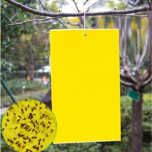 20 Count Dual Yellow Sticky Traps 8 X 6 Inch Set for Flying Plant Insect Like Fungus Gnats, Aphids, Whiteflies, Leafminers -Included 20pcs Twist Ties