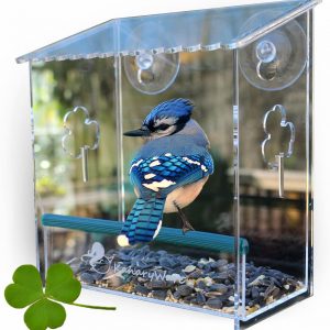 Kanaryware Window Bird Feeder – Built to Last A Lifetime – Decorate Your House with Beautiful Wild Birds – 100% Clear Acrylic – Drain Holes – Hooks & 2 Extra Suction Cups Included – Great Gift