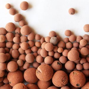 Hydro Clay Pebbles (Leca) Orchid/Hydroponic Grow Media – 10 lbs. (More Than 10 Liters) by PowerGrow Systems