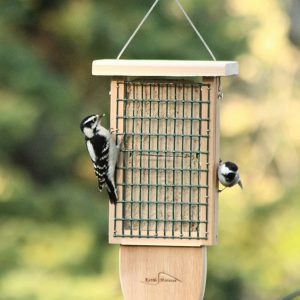 Kettle Moraine Cedar Double Suet Cake Tail Prop Suet Bird Feeder with Hanging Cable