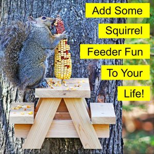 Large Squirrel Picnic Table Feeder – Cedar Squirrel Feeders for Outside Trees, Deck, Fence – Funny Corn Cob Holders, Novelty Hanging Mini Picnic Table for Squirrels, Fun Wooden Chipmunk Bench Platform
